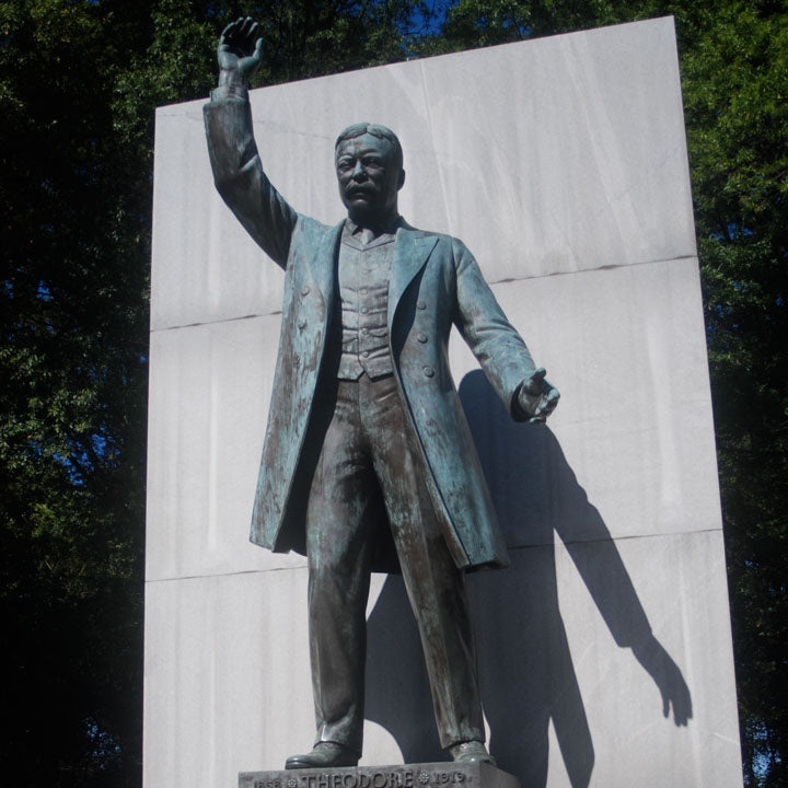 theodore roosevelt statue at theodore roosevelt island usa