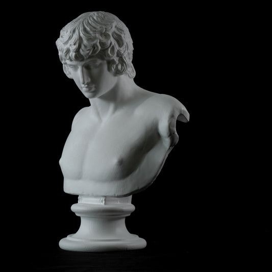 Portrait Of Antinous