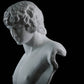 portrait of antinous