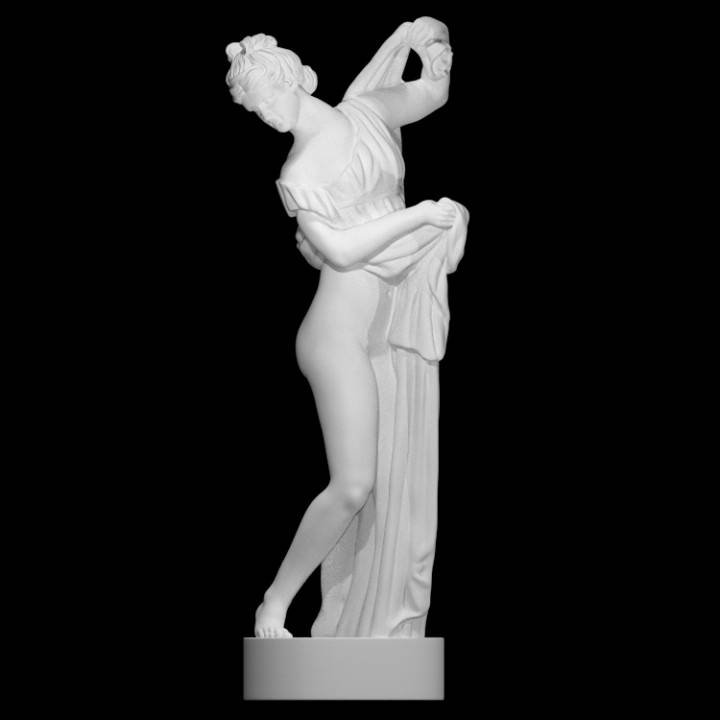 Callipygian Venus, Nicholas Wells Antiques Ltd