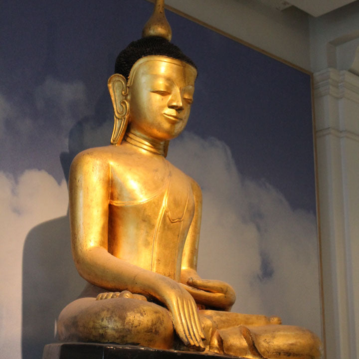 gautama buddha