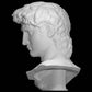 head of michelangelo s david