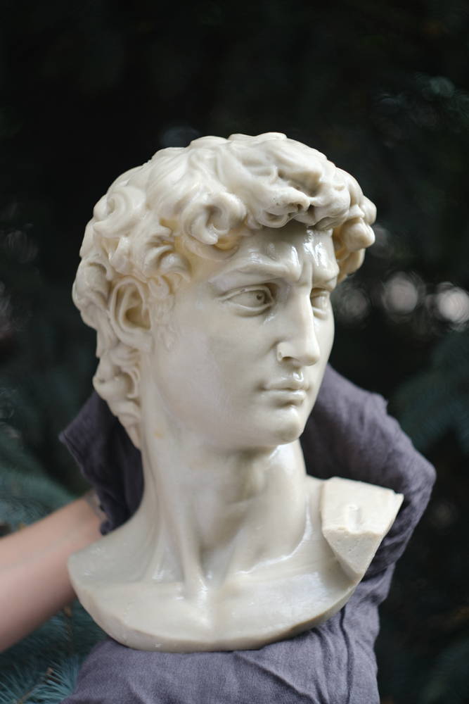 head of michelangelo s david