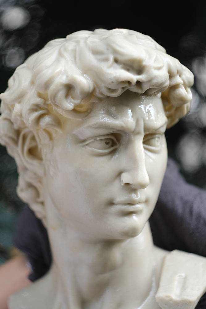 head of michelangelo s david