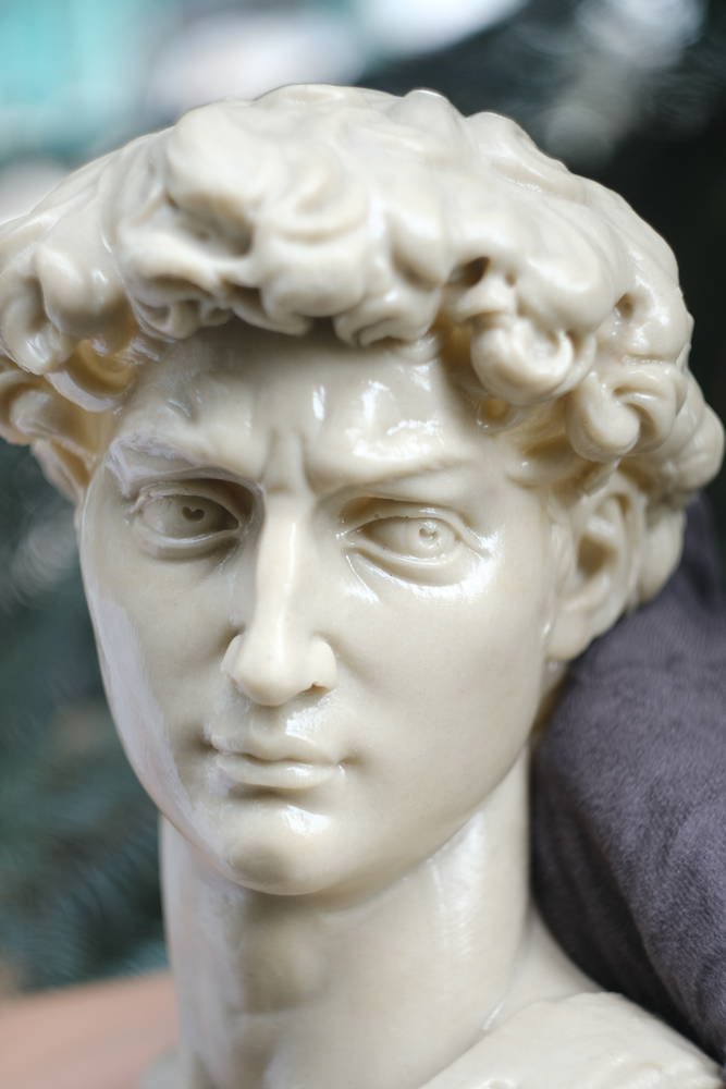 head of michelangelo s david