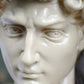 head of michelangelo s david