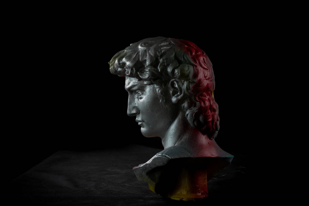 head of michelangelo s david