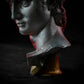 head of michelangelo s david