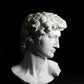 head of michelangelo s david