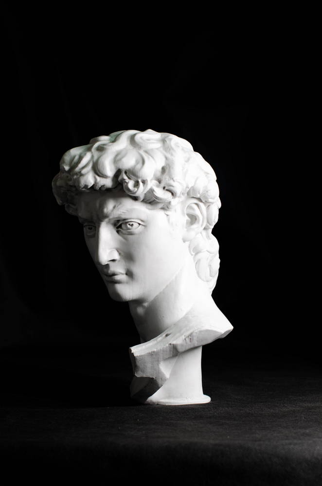 head of michelangelo s david