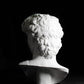 head of michelangelo s david