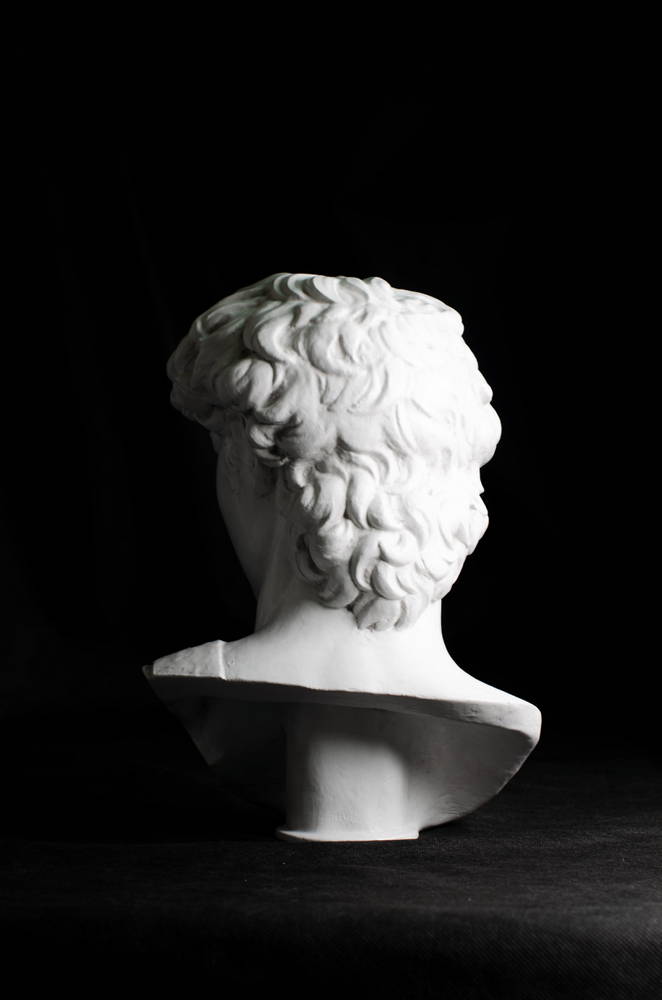 head of michelangelo s david