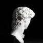 head of michelangelo s david