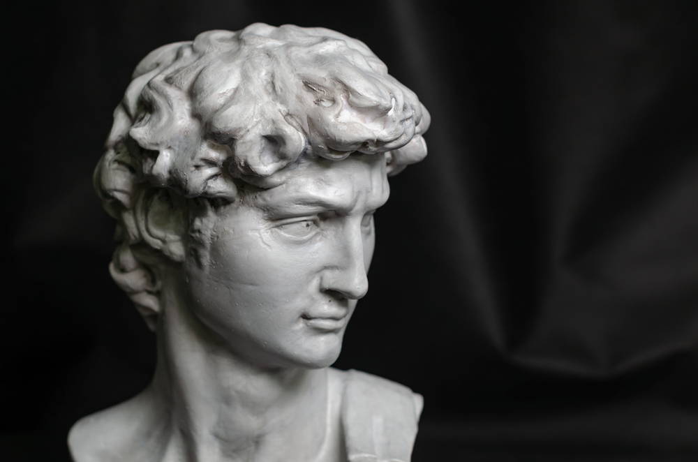 head of michelangelo s david