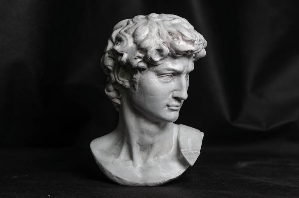 head of michelangelo s david