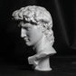 head of michelangelo s david