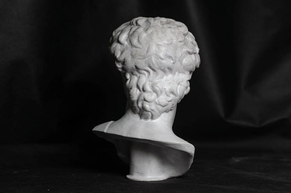 head of michelangelo s david