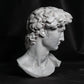 head of michelangelo s david