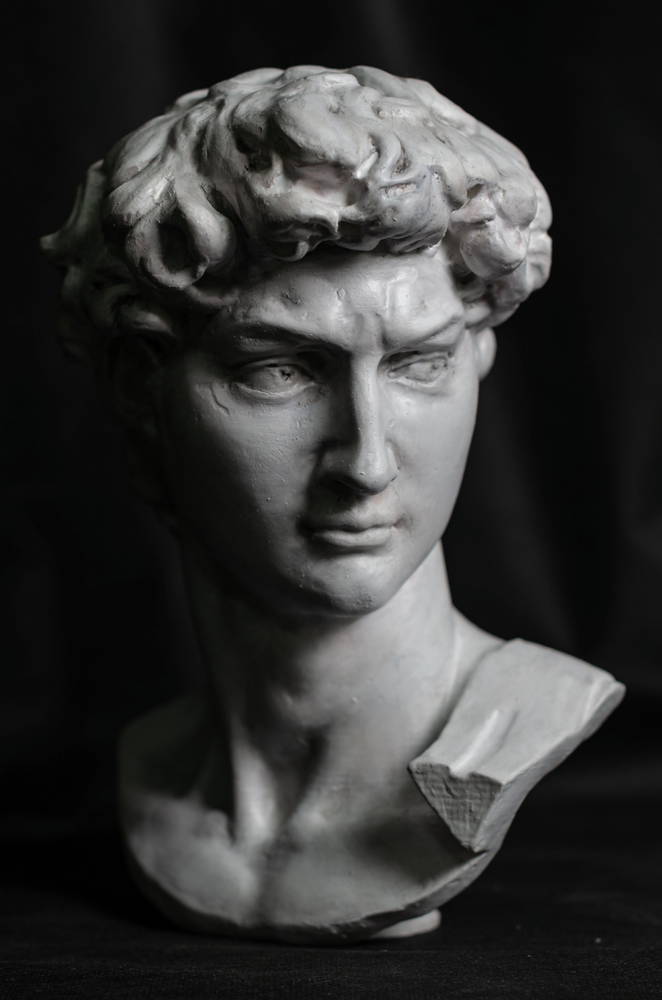 head of michelangelo s david