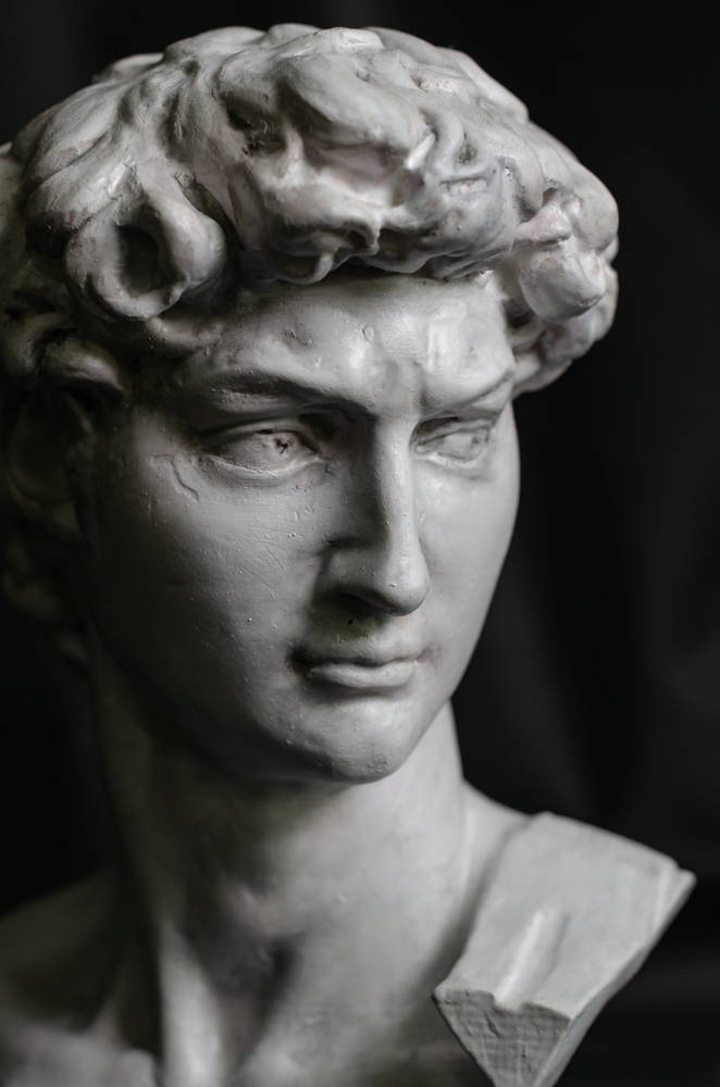 head of michelangelo s david