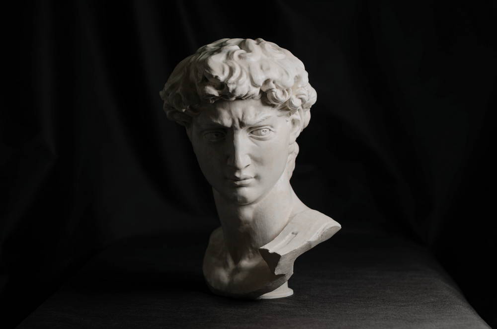 head of michelangelo s david