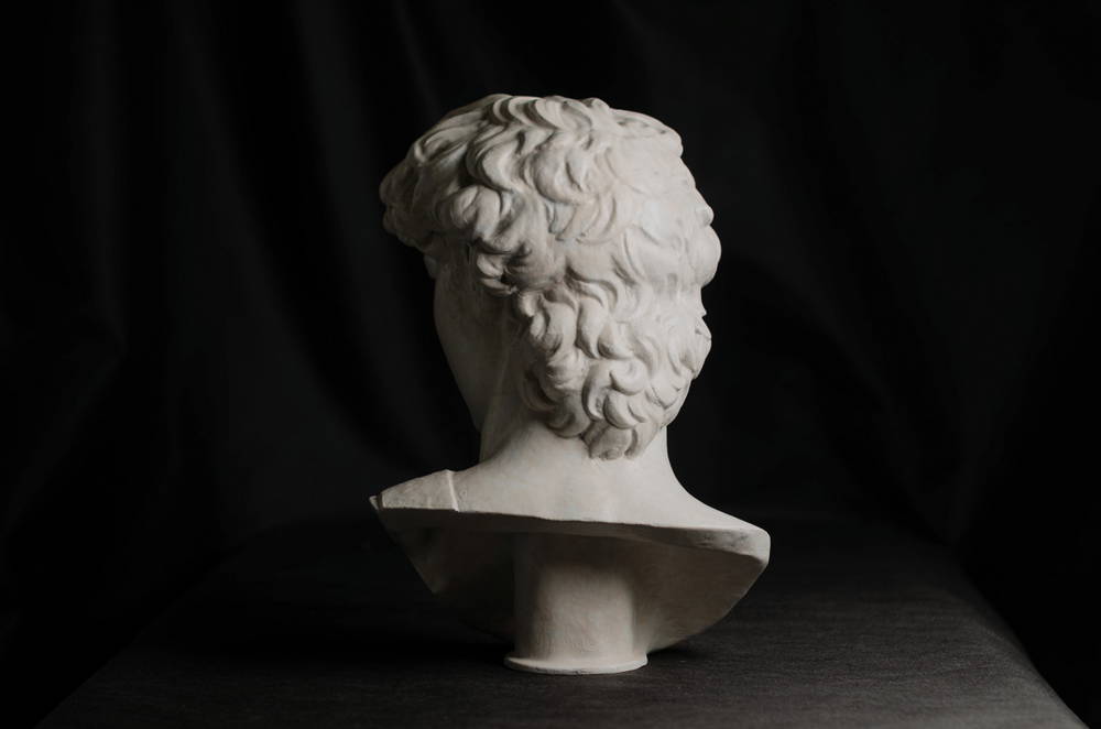 head of michelangelo s david