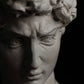 head of michelangelo s david