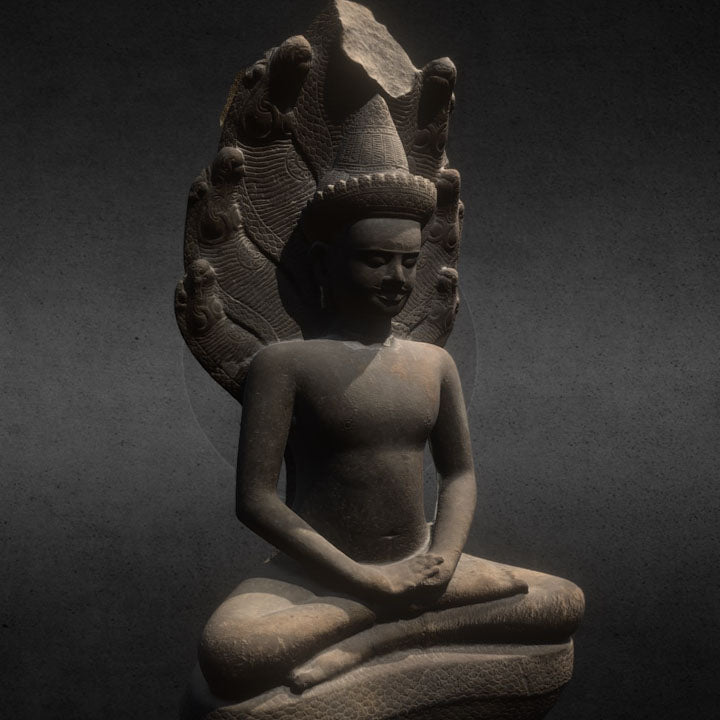 buddha protected by the naga