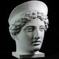 Head from The Barberini Hera