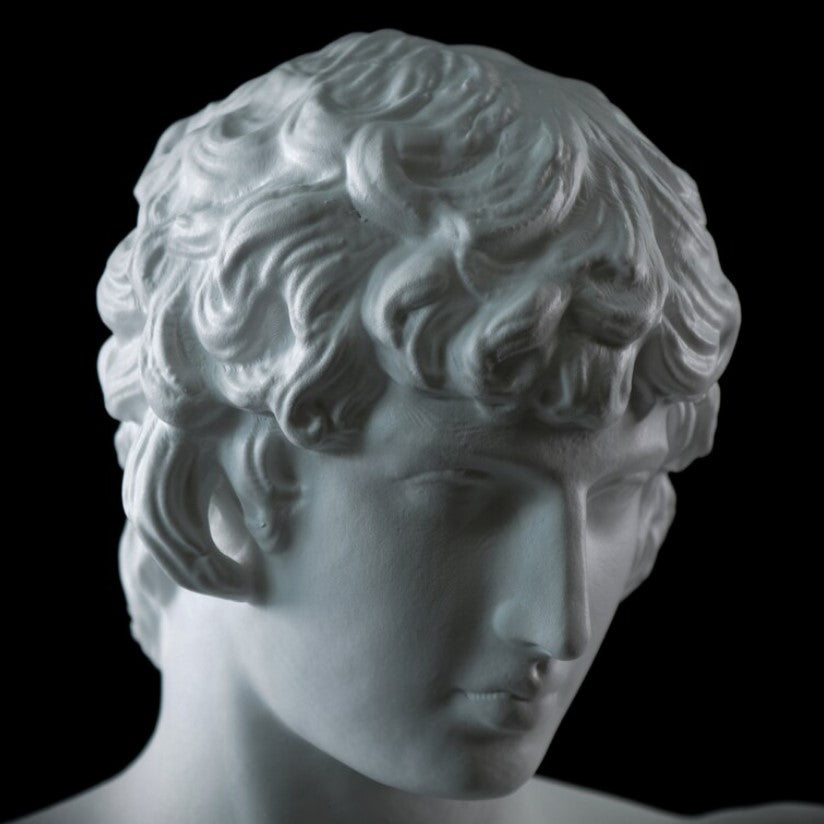 Portrait of Antinous bust