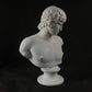 Portrait of Antinous bust